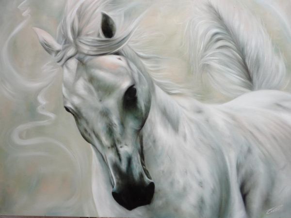 à Venda - Cavalo Branco