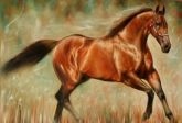 Cavalo