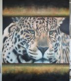 Onça Pintada