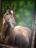 Cavalo 02
