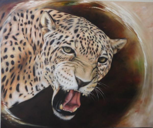 à Venda - Onça Pintada