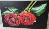 à Venda - Rosas Vermelhas