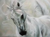 à Venda - Cavalo Branco