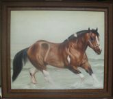 Cavalo
