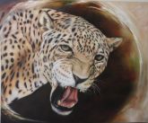 à Venda - Onça Pintada